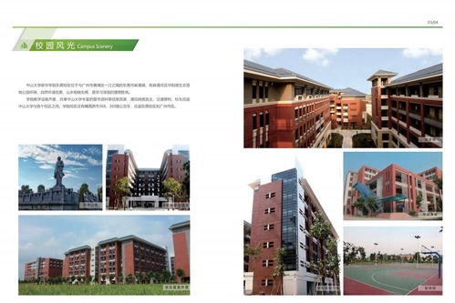 中山大学新华学院自考课程