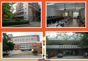 没高考入读中山大学自考全日制是怎样的